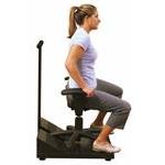 The Pettibon System®