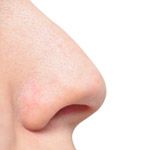 Nose