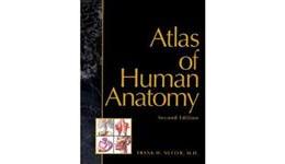 Education & Reference