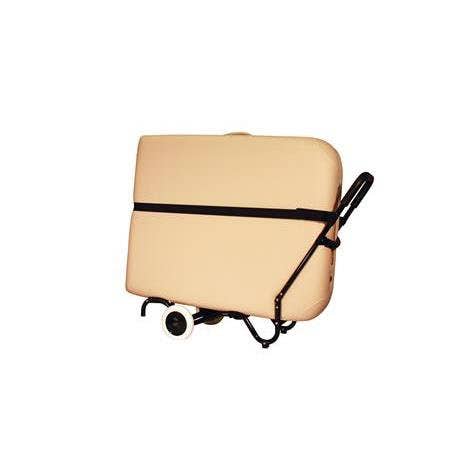 NRGReplcaementSportyCartTableStrap