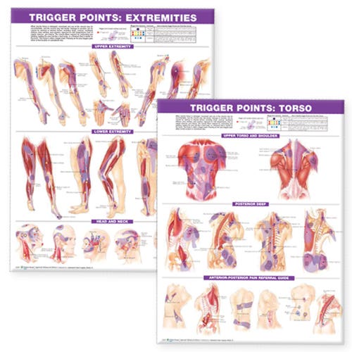 LaminatedTriggerPoints,TorsoAndExtremities