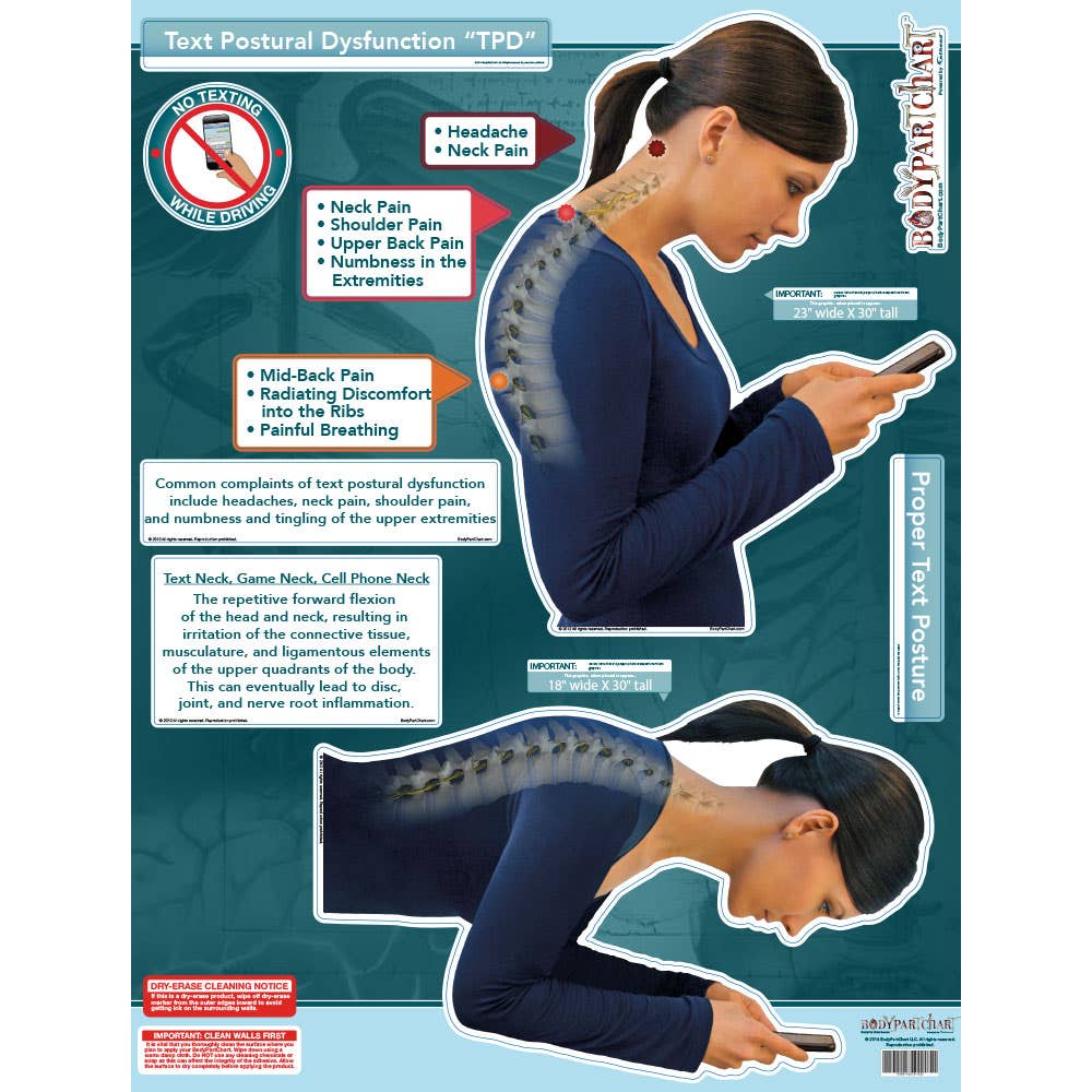 BodyPartChart™TextPosturalDysfunction(TPD)39”x51”