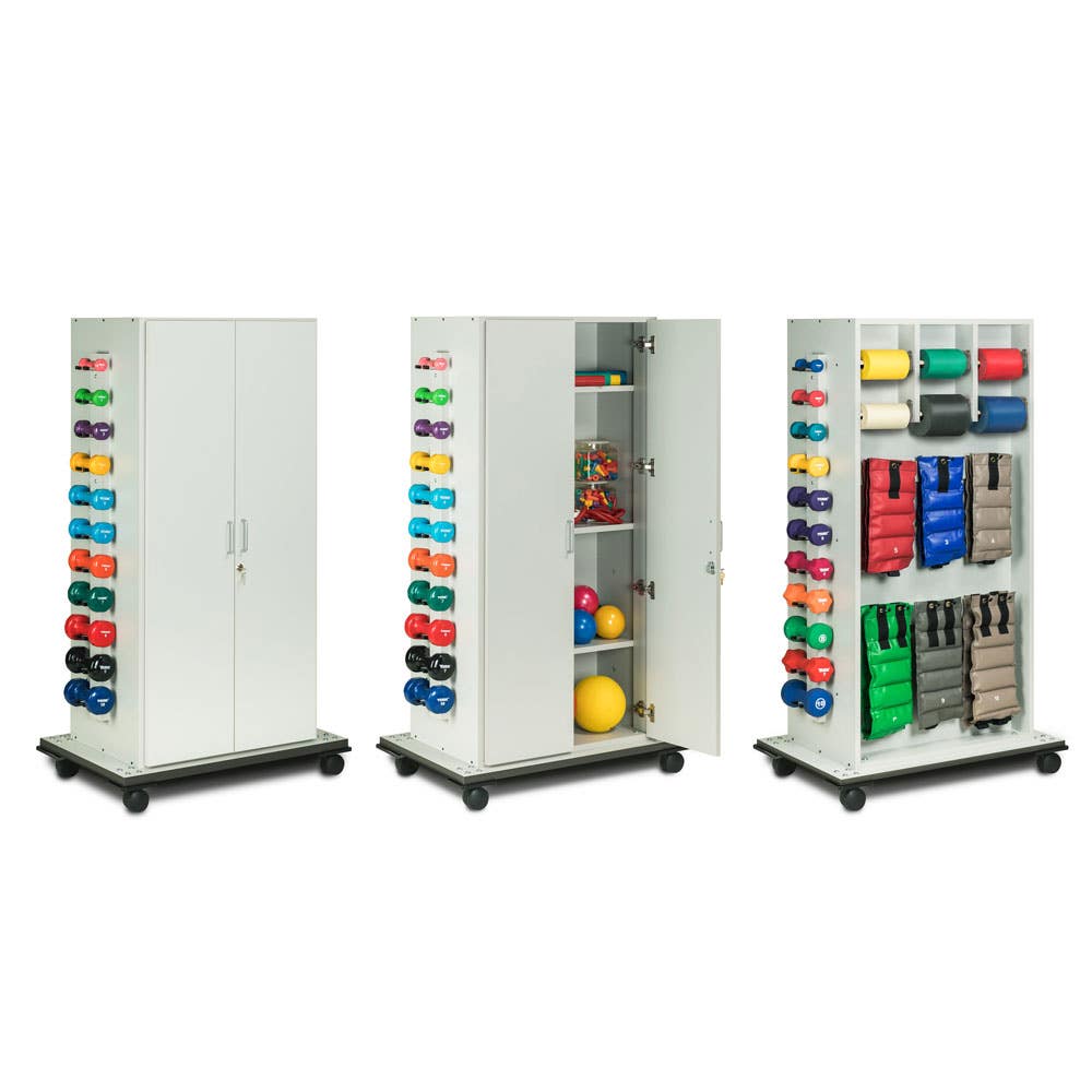 CabinetRacWithDoors