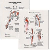 Peripheral Entrapment Neuropathics 2 Chart Set