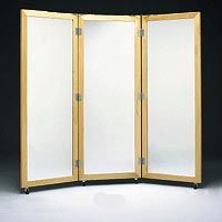 3-Way Posture Mirror W/ Casters