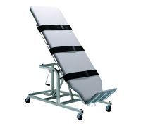 Hausmann Safety Strap 4 X 72