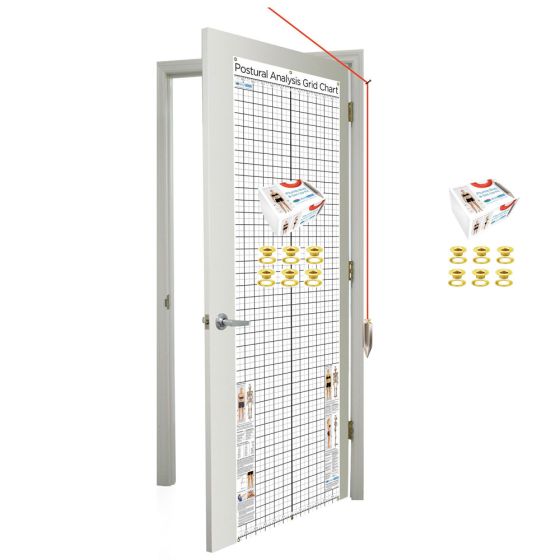 Kent Health Posture Analysis Grid Chart – Space Saver with Grommets and Plumb Bob Kit