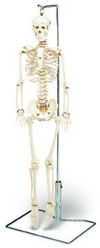 Mr. Thifty With Nerves