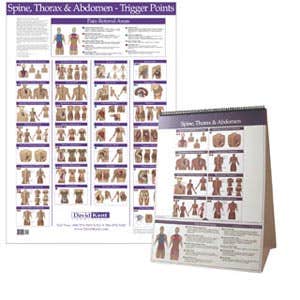 KentTriggerPointCharts-Torso/Spine