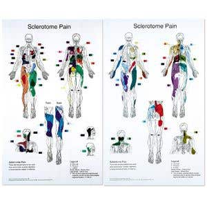 SclerotomePainCharts22X36SetOf2