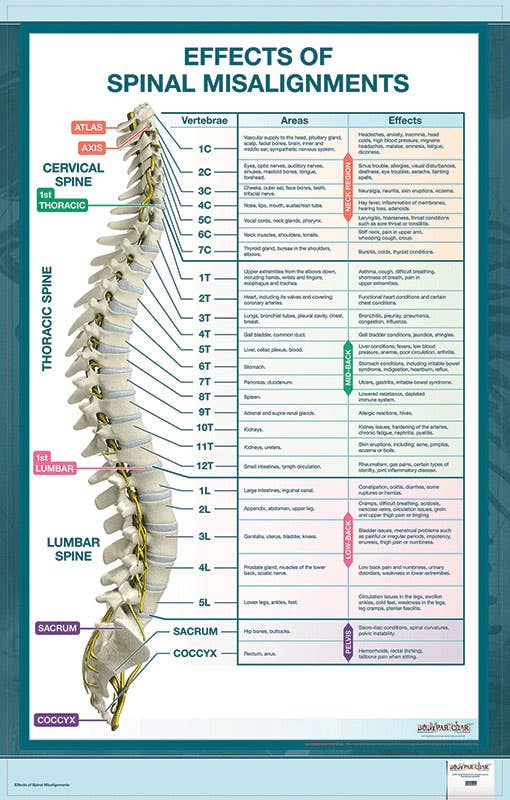 EffectsofSpinalMisalignment